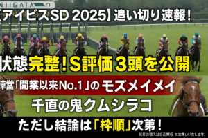 【アイビスサマーダッシュ 2025 追い切り評価】S評価は3頭！プロが徹底分析する有力馬の状態と最終結論