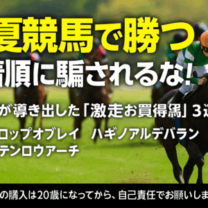 2025年8月16日 中央競馬「お買い得馬」徹底分析レポート
