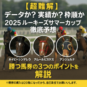 【2025ルーキーズサマーカップ】鉄板データが導く本命はネイビーシンデレラか？過去傾向から導く「勝つ馬券」の3つのポイント