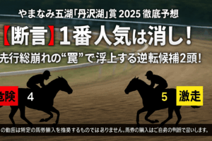 【やまなみ五湖「丹沢湖」賞 2025 予想】1番人気バガリーロータスは危険？川崎の馬場傾向と展開の”罠”から導く3つの攻略ポイント