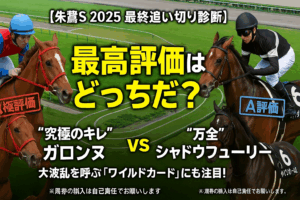 【朱鷺S 2025 追い切り評価】S評価は意外な伏兵か！？シャドウフューリー、ガロンヌの状態をプロが徹底診断