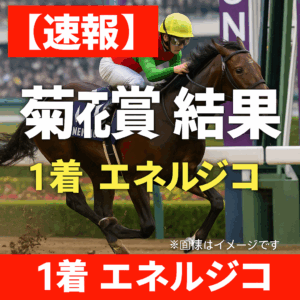 2025年 菊花賞 結果速報・全頭出走馬データ