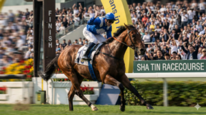 Gemini_Generated_Image_9a4n2w9a4n2w9a4n