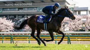 kp_image_1769263190_